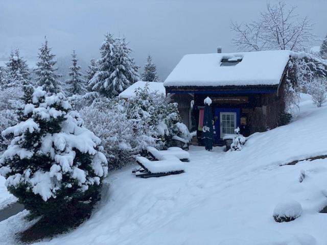 Micro-Lodge, Le Petit Nid D'Amour มงทริองด์ ภายนอก รูปภาพ