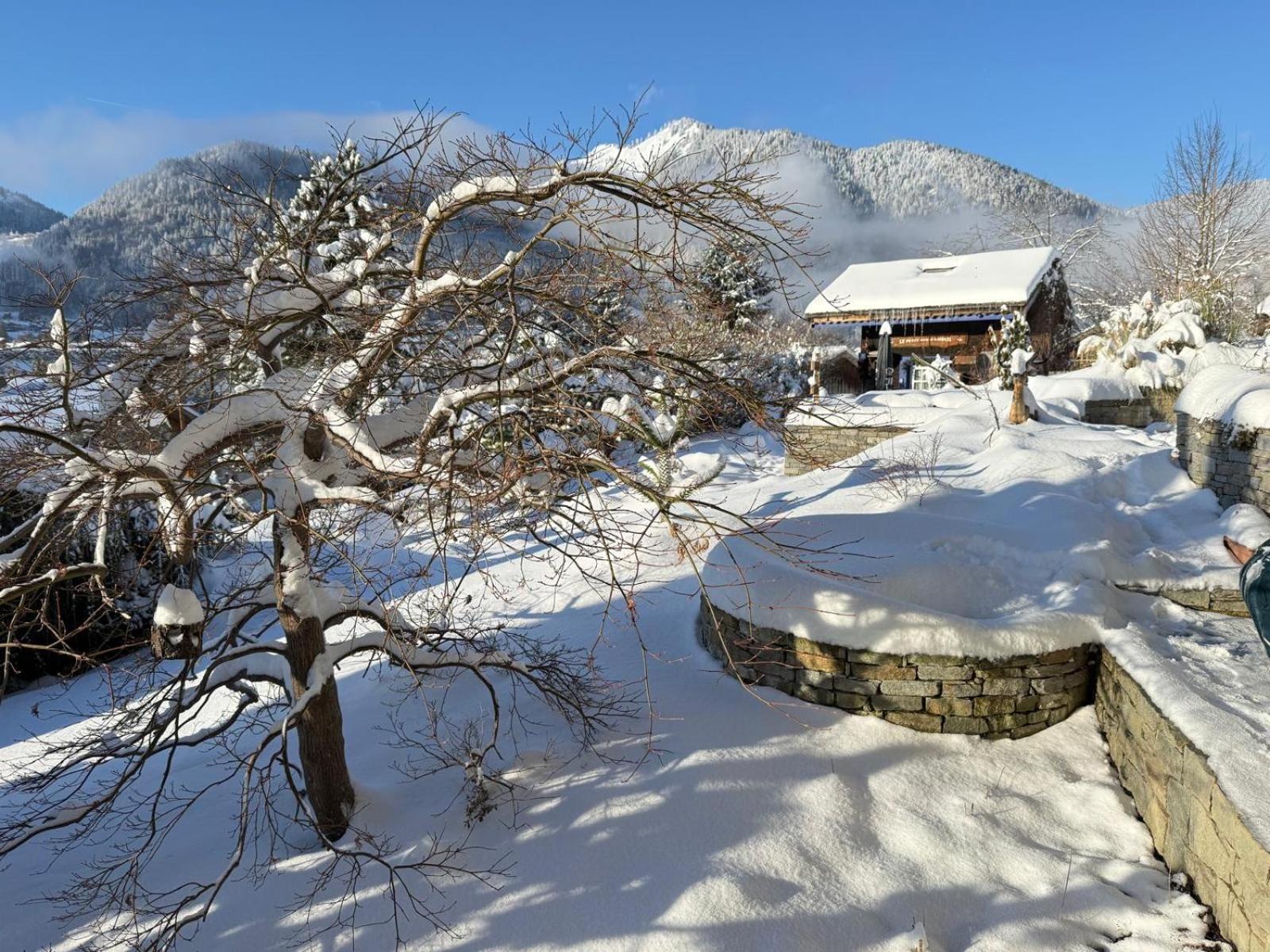 Micro-Lodge, Le Petit Nid D'Amour มงทริองด์ ภายนอก รูปภาพ