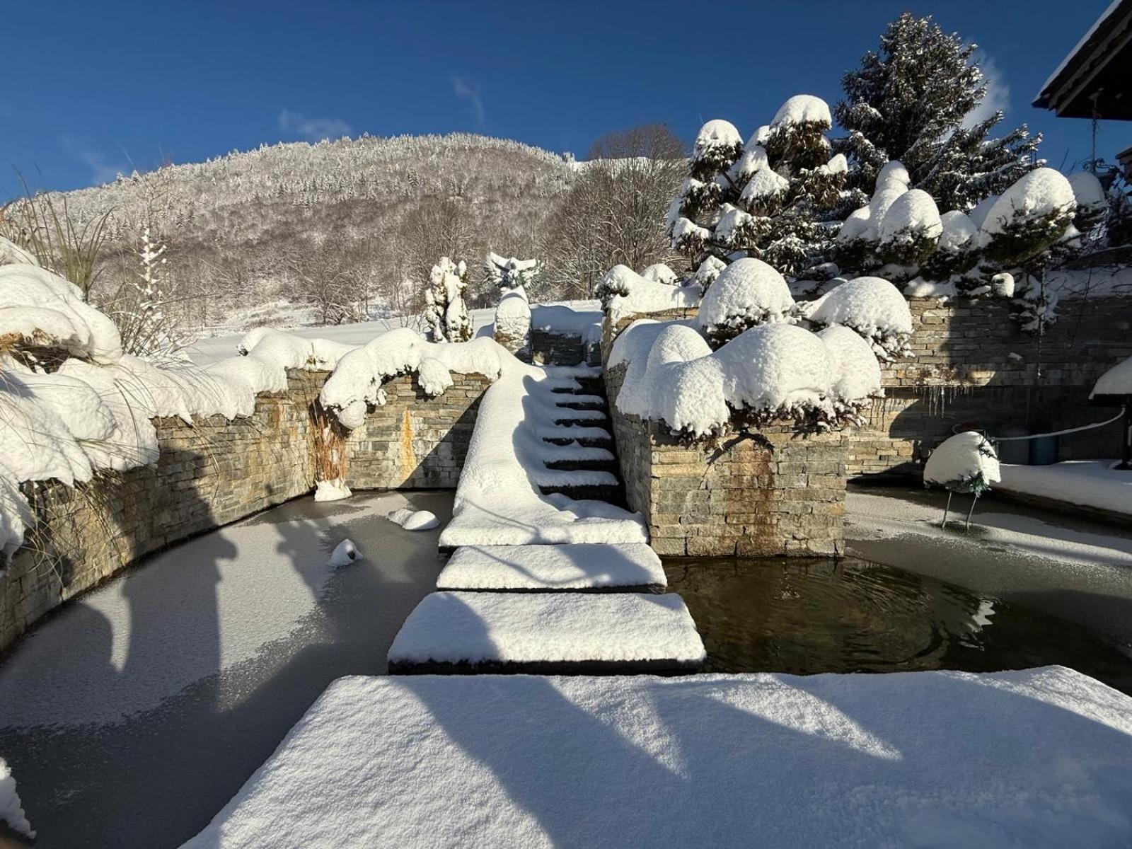 Micro-Lodge, Le Petit Nid D'Amour มงทริองด์ ภายนอก รูปภาพ